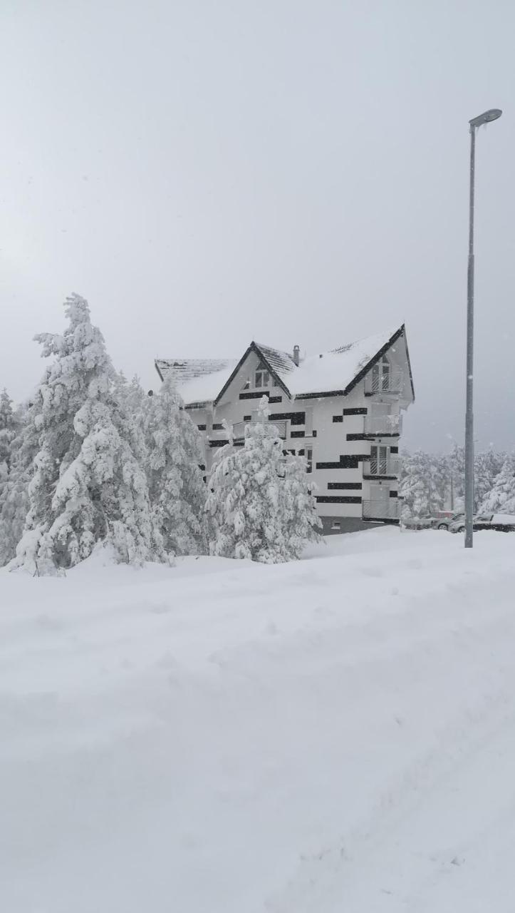 Apartment Triangle Divčibare Dış mekan fotoğraf